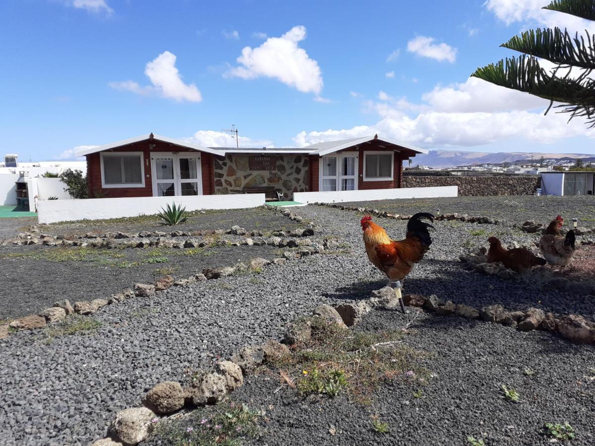 Holiday home Volcan Capellania Tinguaton